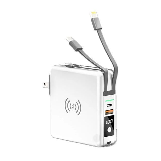 Travel Pro -ChargeMaster 5 In 1 Power Bank With Case - absentel